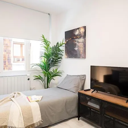 Apartment Frida Centro