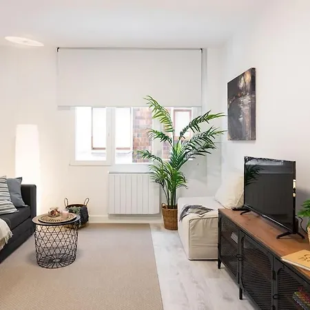 Frida Centro Apartment *